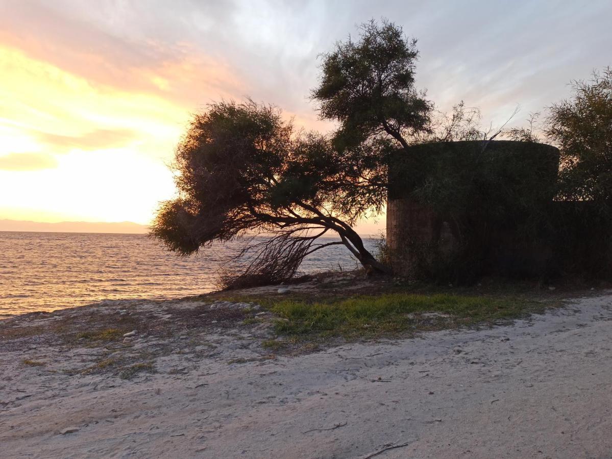 Villa Sul Mare Con Piscina Capitana Exteriér fotografie